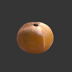 Orange Fruit Orange Citrus 3d model