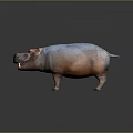 Colorful 3D Hippopotamus Model with Red Eyes Open Mouth and Detailed Texture on Dark Background