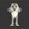 Modern Tiger White Tiger Fierce Tiger 3d model