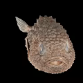 Spiky Brown Pufferfish Aquatic Animal With Large Eyes And Detailed Body Texture