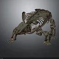 Ancient Turtle Reptile Fossil Skeleton Featuring Complete Shell And Limb Bones