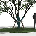 Three Trees in a Row with a Person Standing Next to the Middle One