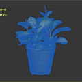 Variegated Green and Yellow Leaf Houseplant in Grey Metal Pot Against Dark Background