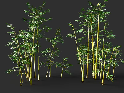 Green Bamboo Plants With Lush Leaves Yellow Stems And Various Heights 3d model