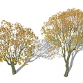 Modern Tree Fatong Landscape Tree 3d model