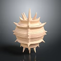 Sea Urchin With Spines And Spherical Layered Surface In Light Beige Color