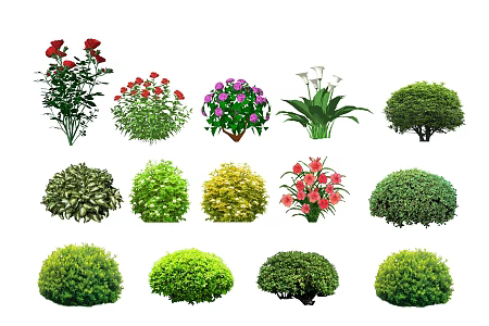 Shrub ball SU model 3d model