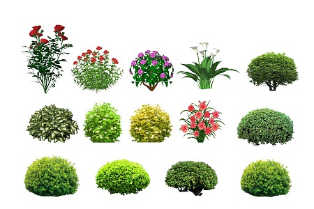 Shrub ball SU model 3d model