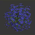 Vibrant Blue Flowering Plant With Small Blooms And Green Stems