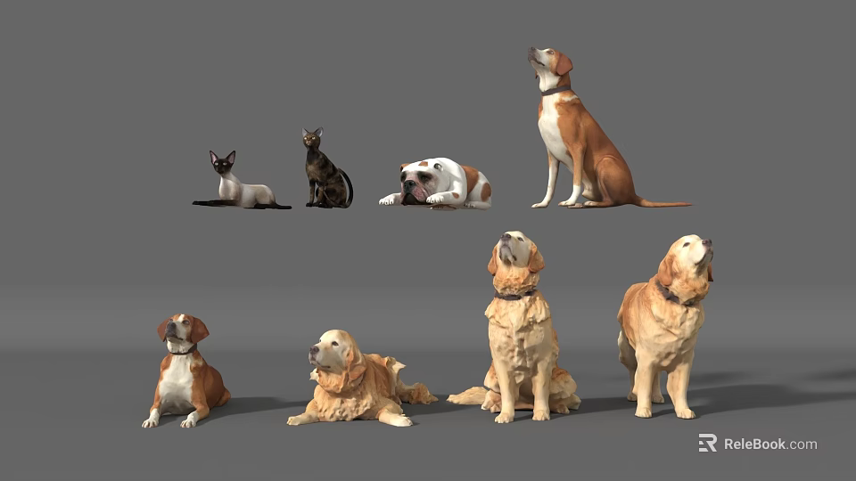 Diverse Reptile Species In Natural Habitat With Rocks And Greenery 3d model 