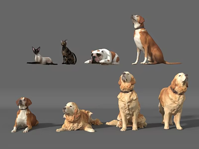 Diverse Reptile Species In Natural Habitat With Rocks And Greenery 3d model