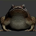 Frog Poison Frog Game Frog Reptile Cold Blooded Animal Reptile 3d model