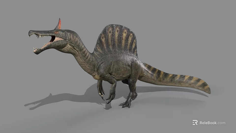 Sail Backed Dinosaur 3D Model With Long Snout And Open Mouth 3d model 