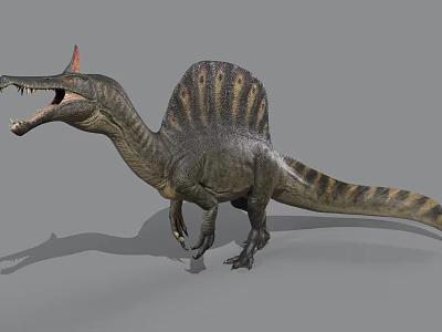 Sail Backed Dinosaur 3D Model With Long Snout And Open Mouth 3d model