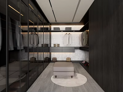 Modern Walk In Closet Interior With Glass Doors Hanging Clothes Storage Cabinets Stool And Rug 3d model