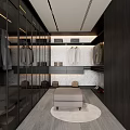 Modern Walk In Closet Interior With Glass Doors Hanging Clothes Storage Cabinets Stool And Rug