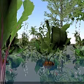 Scenic Rural Landscape With Lush Green Plants Large Leaves And Clear Water Reflection