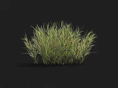 Lush Green And Yellow Grass Clump Natural Garden Foliage Decoration 3d model