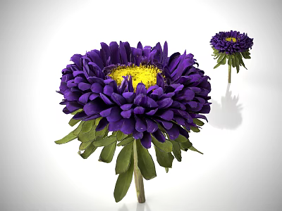 Vibrant Purple Aster Flower With Yellow Center And Green Leaves 3d model