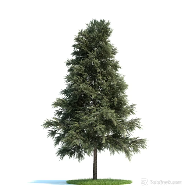 Lush Evergreen Tree With Dense Green Foliage And Tall Straight Trunk 3d model 