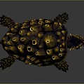 Close Up View Of Reptile With Spiked Shell And Brown Golden Textured Body