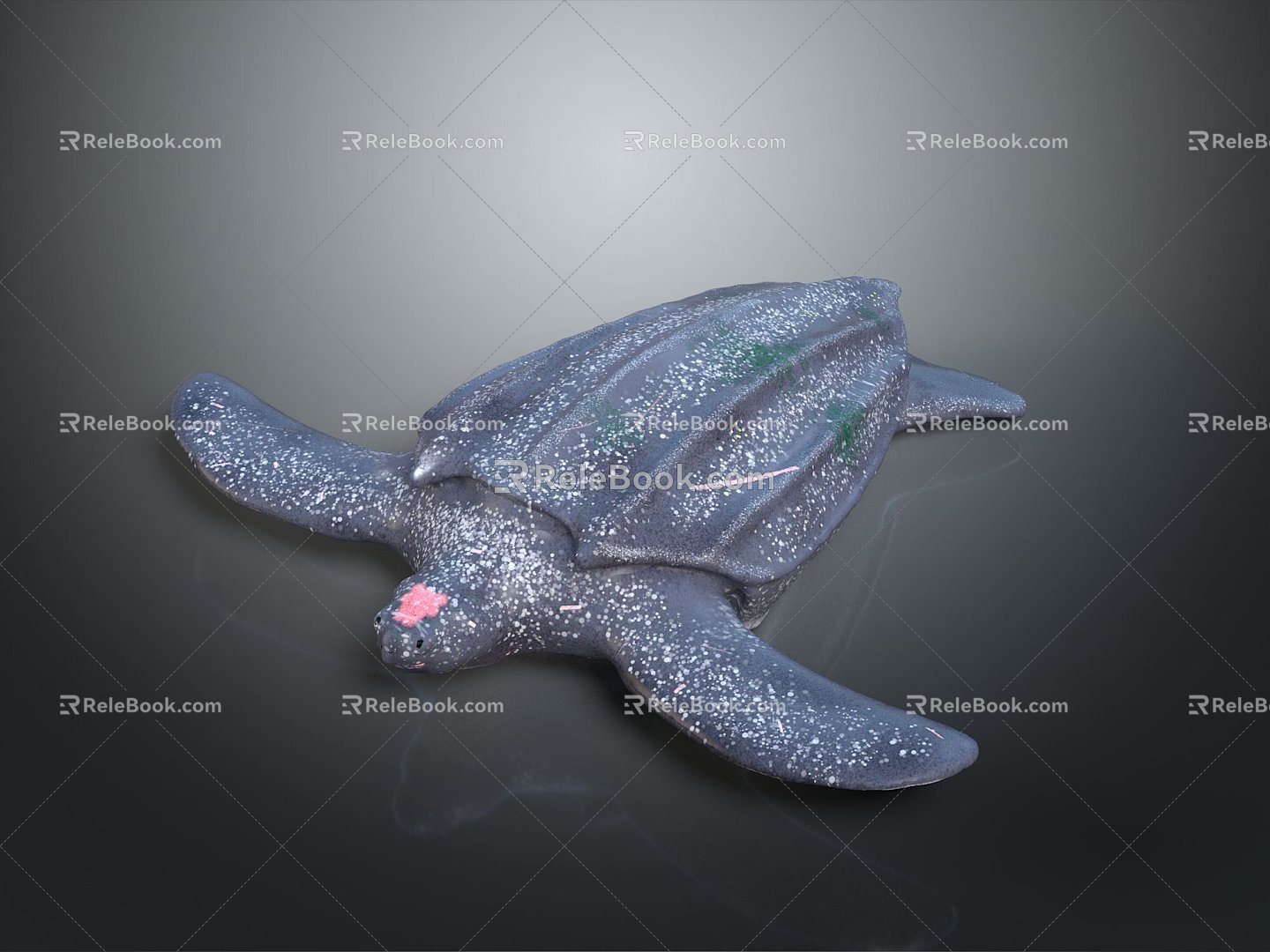 Turtle Turtle Cartoon Turtle Snapping Turtle Chickbill Turtle Reptile Cold Blooded Animal Reptile Reptile Class 3d model