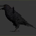 Black Raven with Spread Wings and Detailed Feather Texture on Gray Background