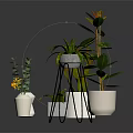 Various Indoor Potted Plants With Green Leaves Yellow Flowers White Pots And Metal Stand