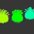 Three Clumps of Green Grass with White Plumes Growing Against Black Wall on Green Lawn