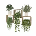 Indoor Hanging Planter Green Plants With Wall Mounted Wooden Frames And Trailing Leaves