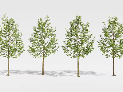 modern tree landscape tree arbor 3d model modern tree landscape tree arbor 3d model