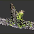 Vibrant Green and Yellow Moss Covered Tree Trunks in Square Plant Bed with Purple Mulch
