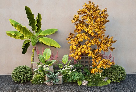 flower border green planting landscape tree ginkgo tree banana tree shrub ball 3d model