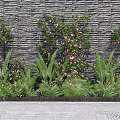 Green Plant Wall Featuring Gray Stone Wall Background Green Plants Pink Flowers and Leafy Plants