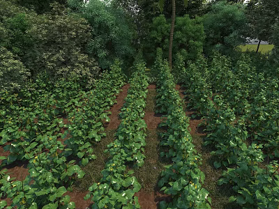 Lush Green Plant Rows In Farm Field Surrounded By Trees And Vegetation 3d model