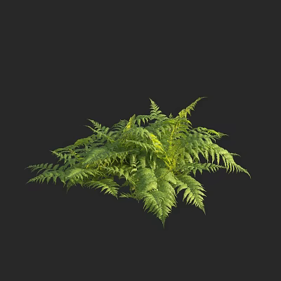 Modern Venus Fern 3d model