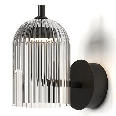 Modern Wall Lamp With Transparent Ribbed Glass Shade And Black Base 3d model
