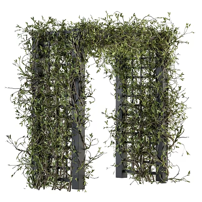 Decorative Garden Archway Covered With Green Vines And Black Lattice Structure 3d model