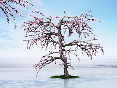 Pink Flowering Tree Standing In Water With Blue Sky And Green Grass Base 3d model