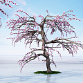 Modern Peach Tree 3d model