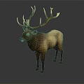 Majestic Brown Elk With Large Antlers Standing On Gray Background In Studio