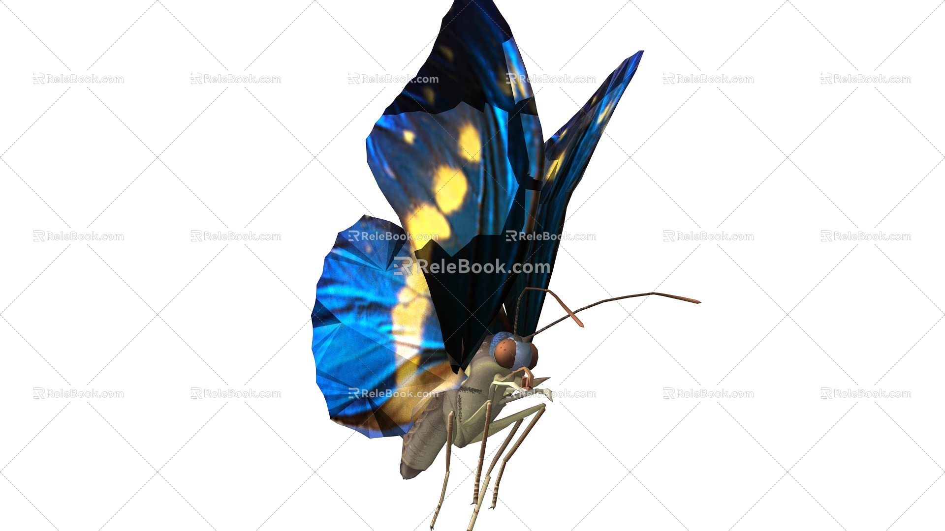 Butterfly 201316695 with colored wings 3d model