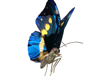 Close Up View of Blue and Black Butterfly with Yellow Spots on Iridescent Wings 3d model