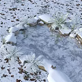 Frozen Water Fountain Surrounded by Snow Covered Stones Ferns and Fallen Leaves