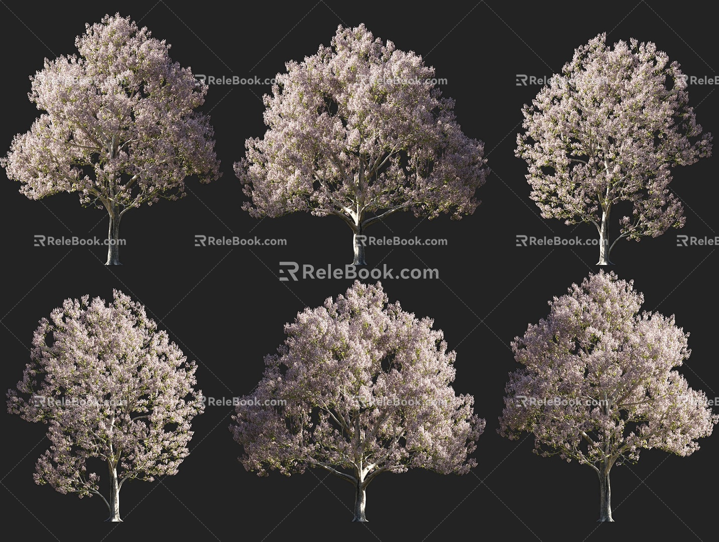 White Flower Paulownia Tree Flowering Arbor White Flower Tung Paulownia Shrub Arbor Park Courtyard Garden Flowering Trees Street Trees Magnolia Magnolia Wood Pen Girl Flower 3d model