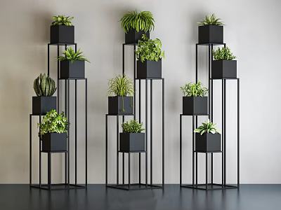 Bonsai Potted Plants On Multiple Tier Black Metal Stands With Light Wall And Dark Floor 3d model
