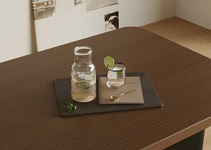 Modern Beverage Tray 3d model