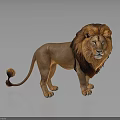 3D Rendered Lion Standing On Dark Background With Distinct Mane And Reflection