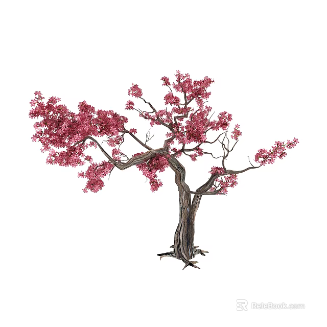 Arbor With Pink Blooming Blossoms And Elegant Textured Branches 3d model