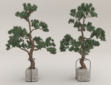 Chinese-style Green Plant Ornaments Trees 3d model